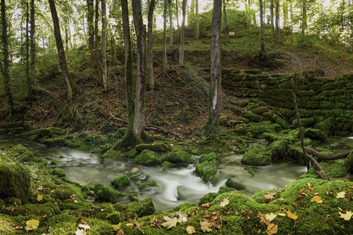 Patrimoine-suisse-Venoge