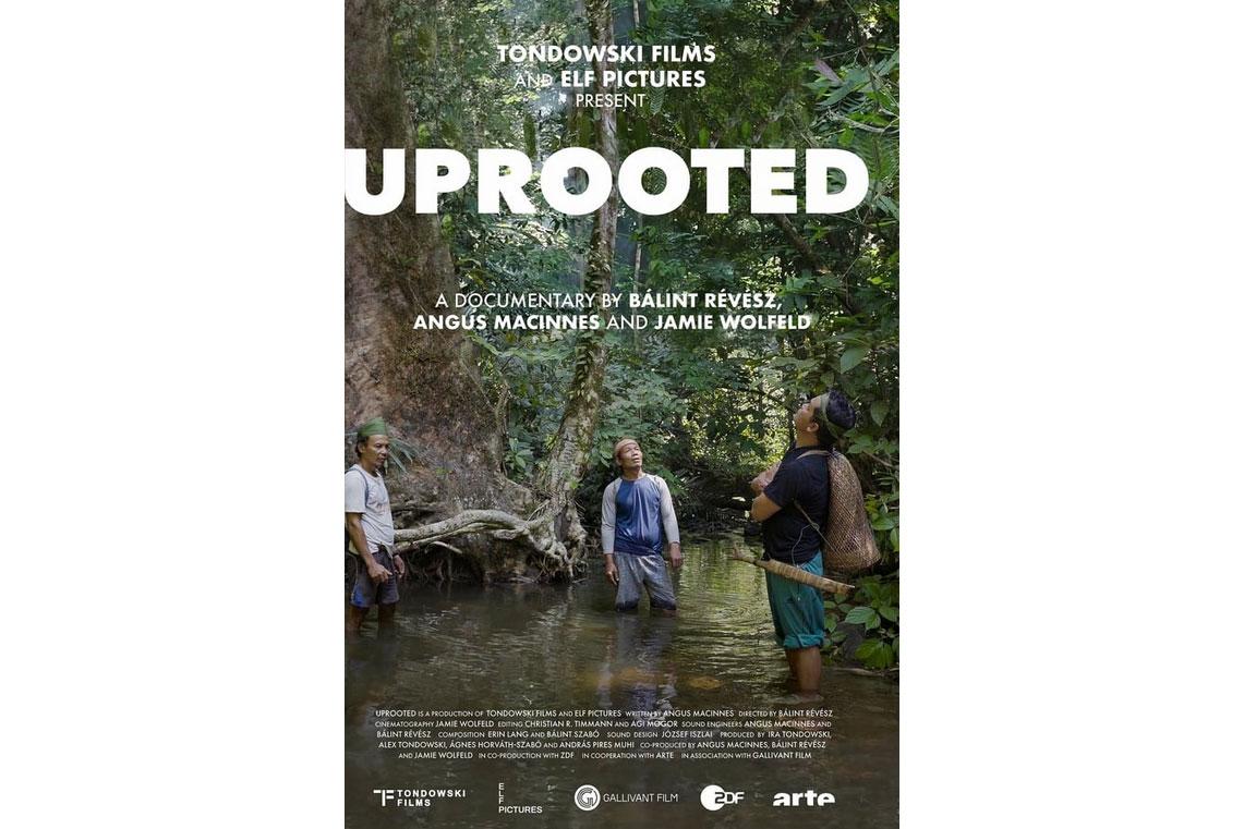 Uprooted - The Olympic Tribe, Zürich, 30. November 2022