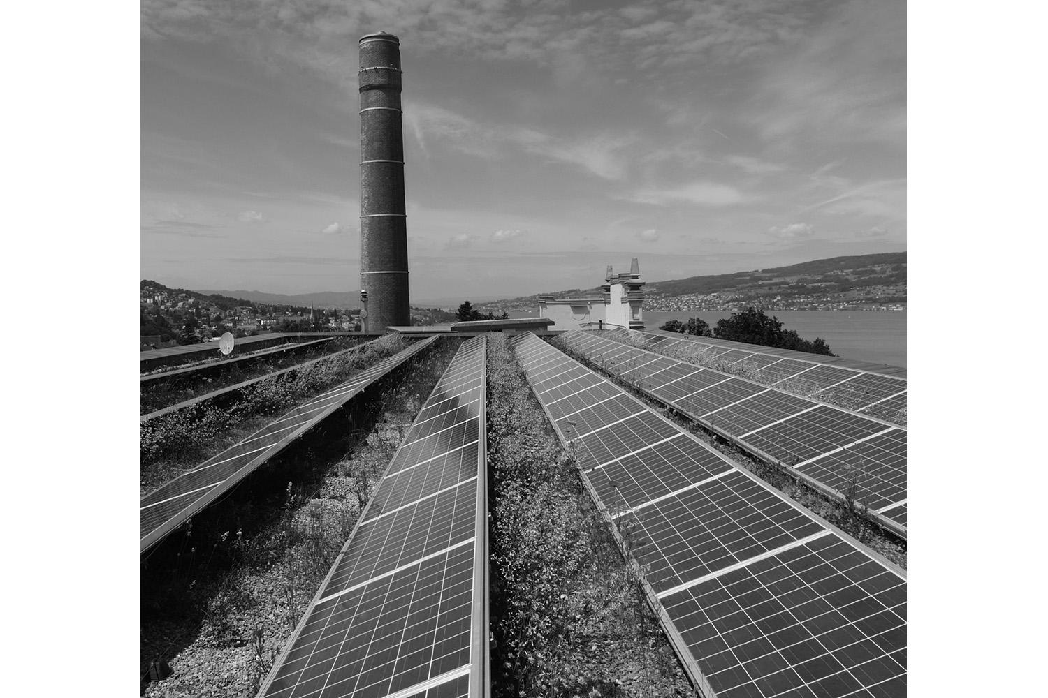 Schwammstadt | Das grosse Potenzial der Dachbegrünung, Zürich, 26. Juni 2025