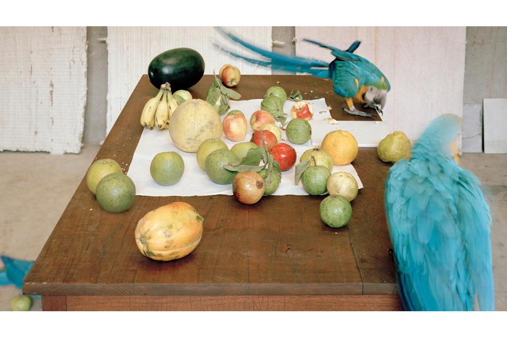 Stefano Graziani. Reality Show, Mendrisio, dal 14 novembre 2025 al 29 marzo 2026