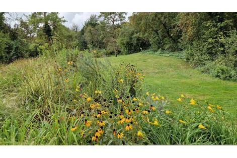 Natur und Atmosphäre, Zürich, 14. April 2026
