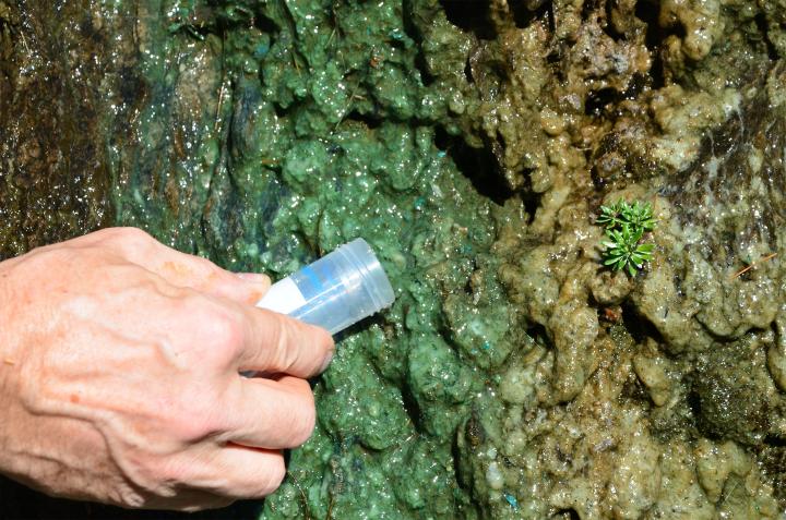 Istituto microbiologia