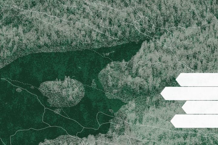 Wandern – Eine Ausstellung, die bewegt, Flims, 2025 / 2026