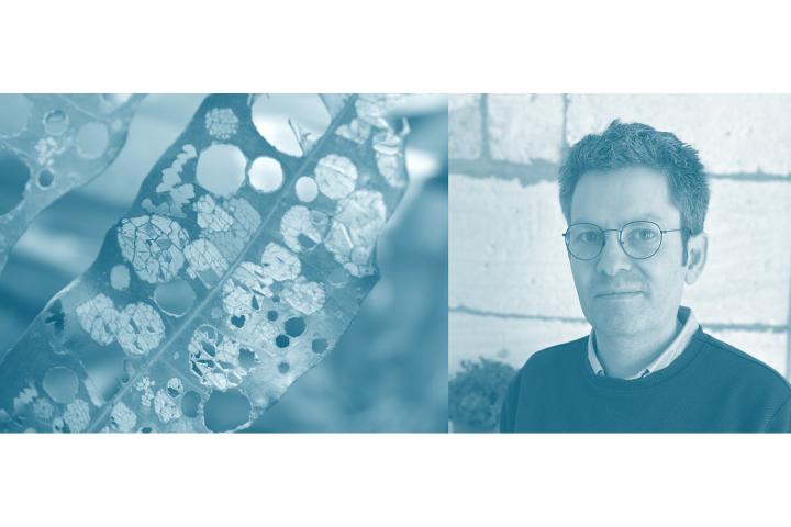 Olivier Hamant | Antidote au culte de la performance - La robustesse du vivant, Fribourg, 10 novembre 2025 