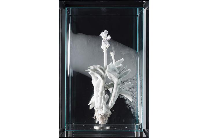 Vogt Landschaftsarchitekten | Exhibition Office | Performance, Zürich, 13. Dezember 2025