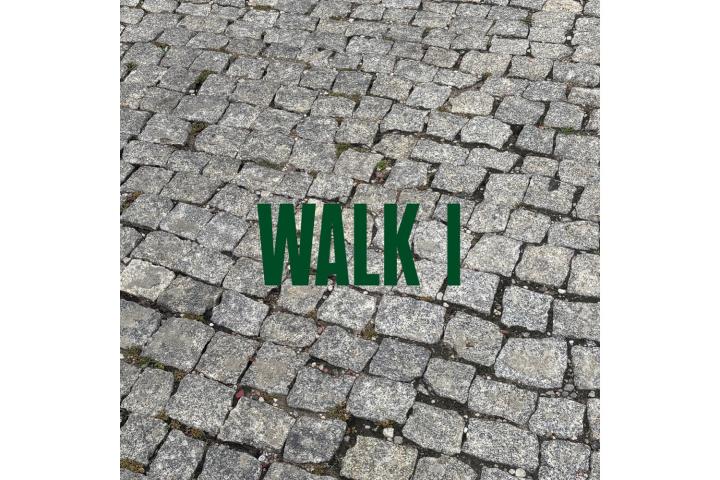 Denklandschaften - Maurus Schifferli | Walk I &ndash; Stein lesen, Bern, 15. September 2026