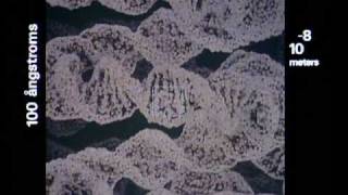 Preview image for the video "YouTube Video (0fKBhvDjuy0)" - Thumbnail.