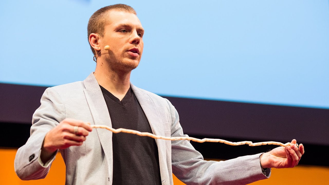 Preview image for the video "YouTube Video (0gMCZFHv9v8)" - Thumbnail.