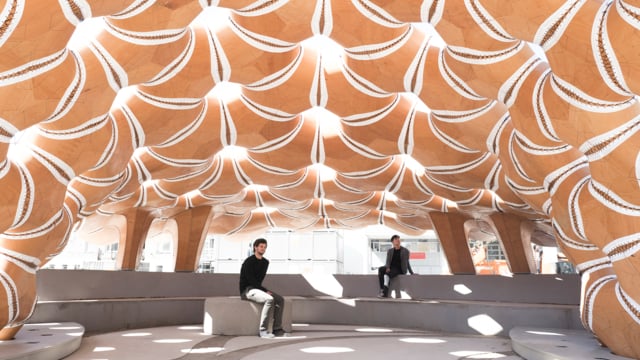 Preview image for the video "ICD/ITKE Research Pavilion 2015-16" - Thumbnail.