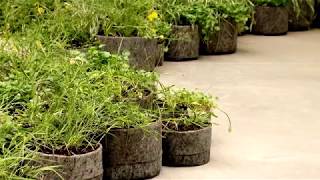 Preview image for the video "YouTube Video (5JzIw91M0tc)" - Thumbnail.