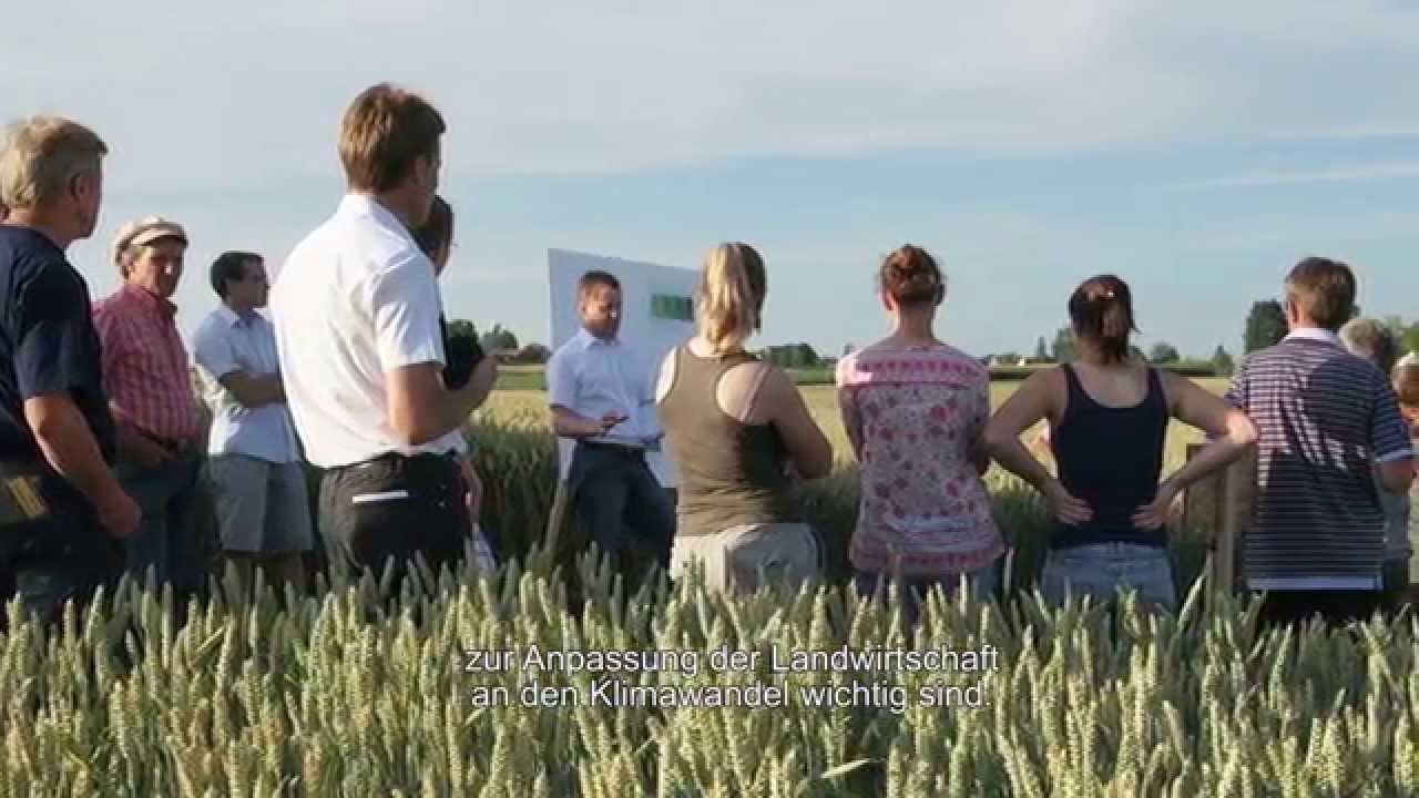 Preview image for the video "YouTube Video (rAlGtEWWm_8)" - Thumbnail.